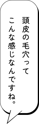 頭皮の毛穴ってこんな感じなんですね。